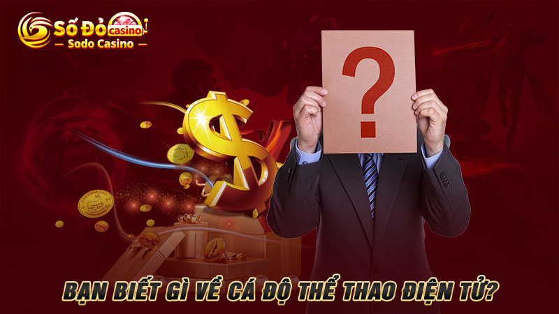 Bạn biết gì về cá độ thể thao điện tử?