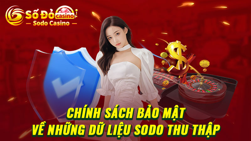 Chính sách bảo mật về những dữ liệu SODO thu thập