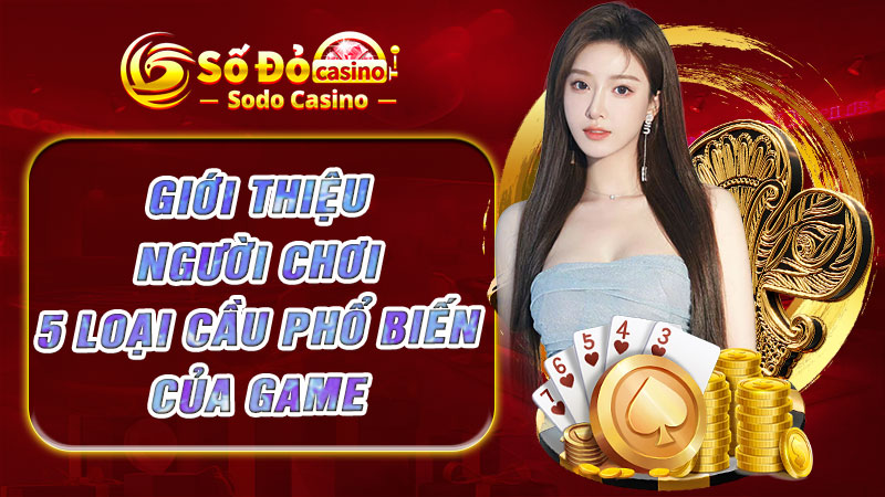 Giới thiệu người chơi 5 loại cầu phổ biến của game